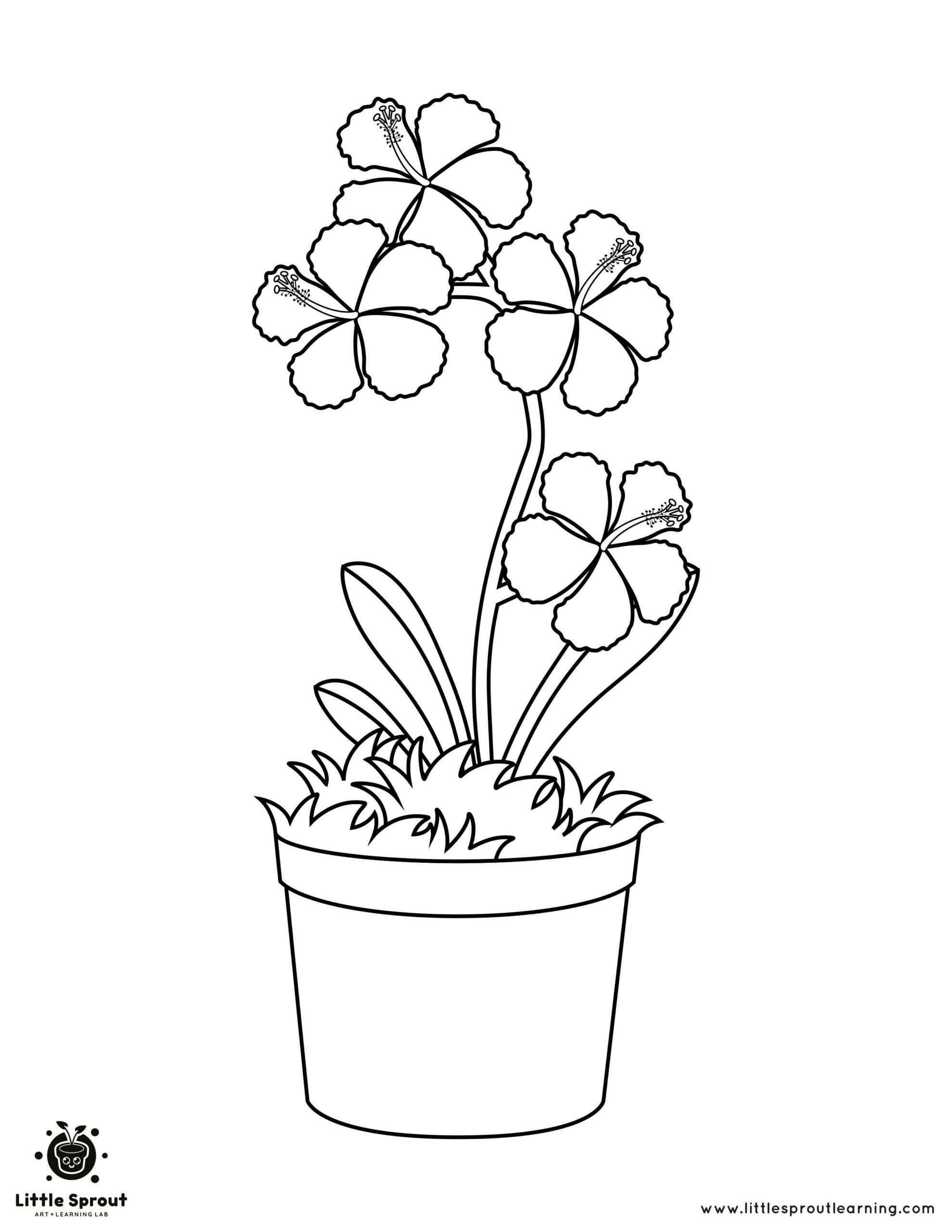 Coloring Page Flower 1 Little Sprout Learning scaled