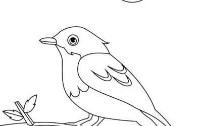Bird Sitting On a Branch Coloring Page