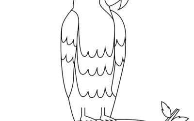Parrot Coloring Page
