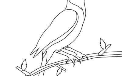 Listening Bird Coloring Page