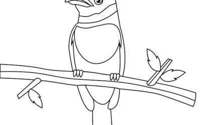 Perched on a Branch Bird Coloring Page