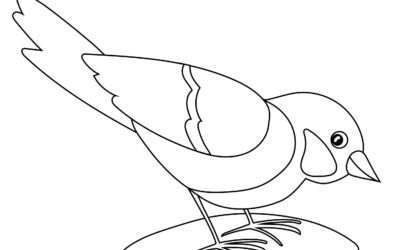 Drinking Water Bird Coloring Page