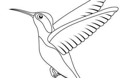 Hummingbird Coloring Page