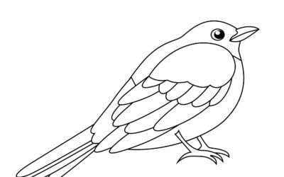 Cute Bird Coloring Page