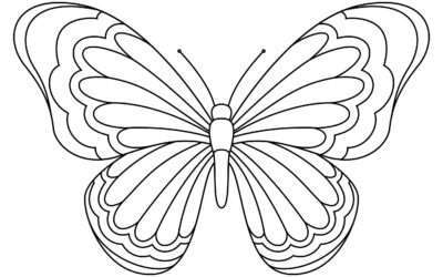 Beautiful Butterfly Coloring Page