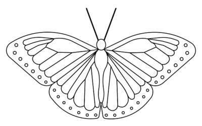 Ready to Fly Butterfly Coloring Page