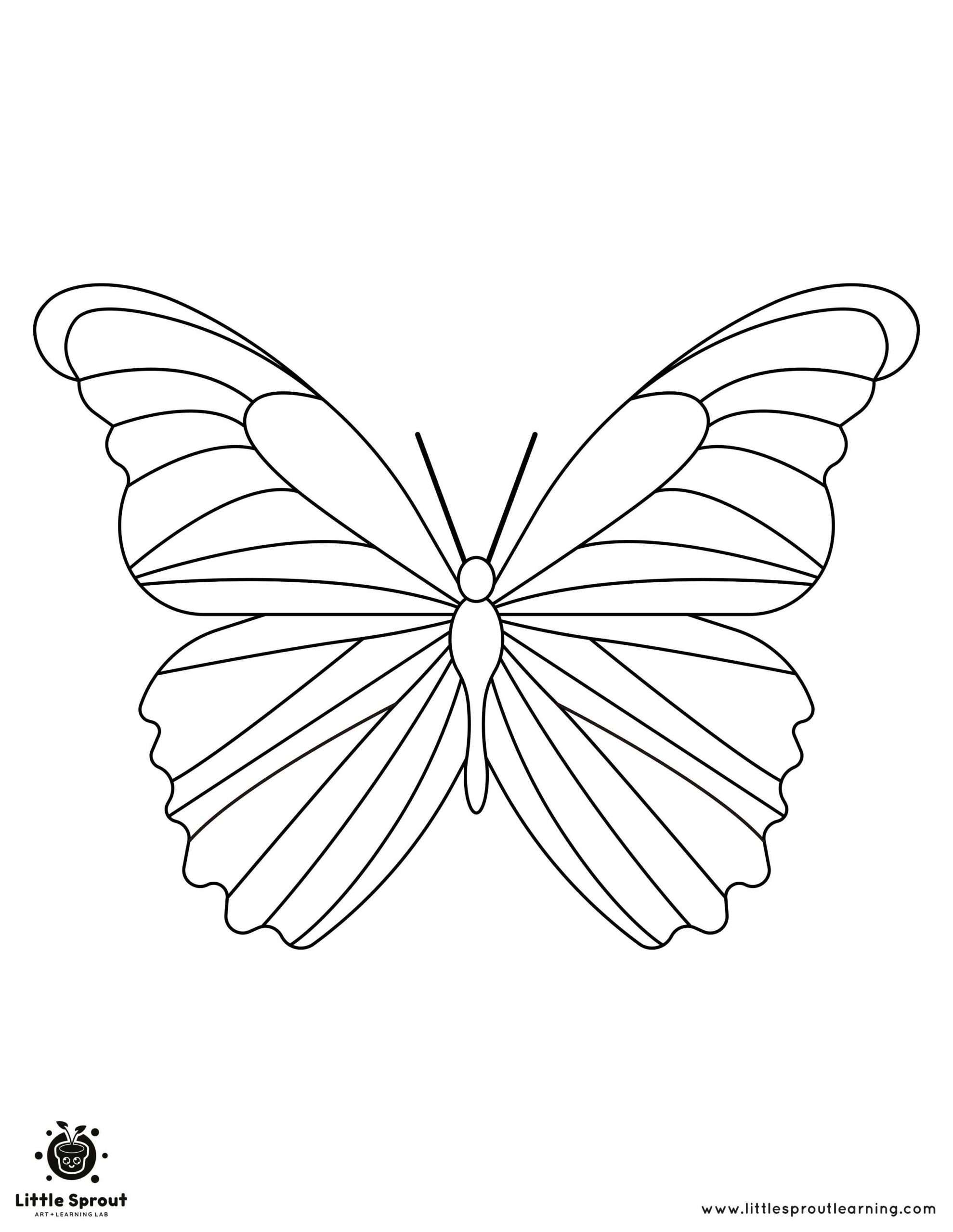 Mesmerizing Butterfly Coloring Page