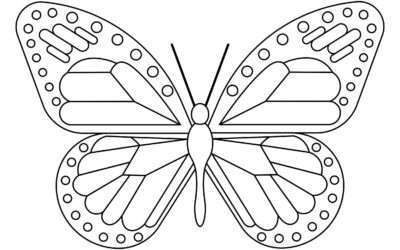 Majestic Wings Butterfly Coloring Page