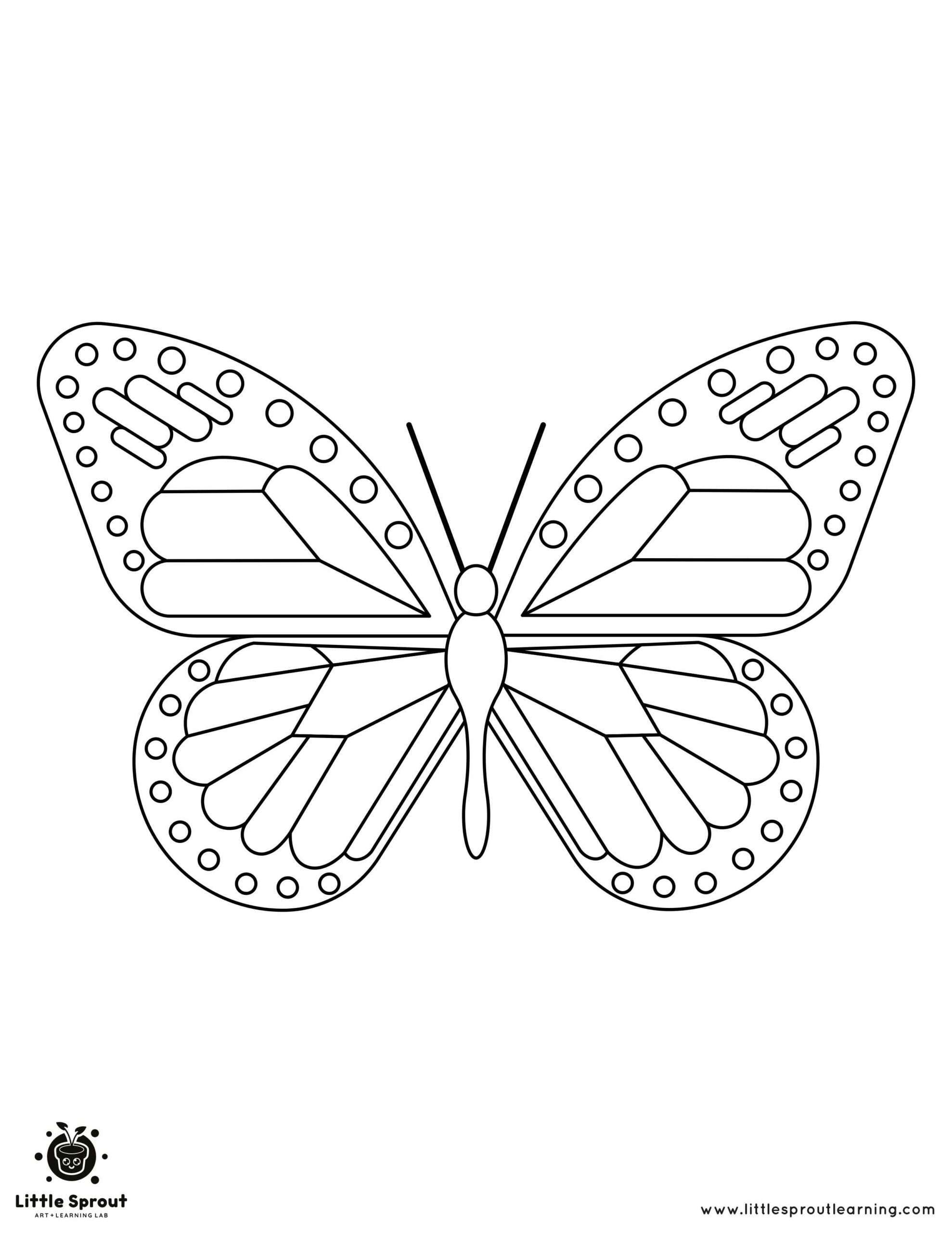 Majestic Wings Butterfly Coloring Page
