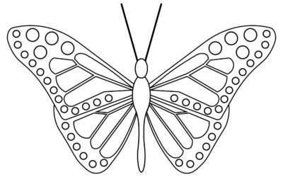 Spotted Butterfly Coloring Page
