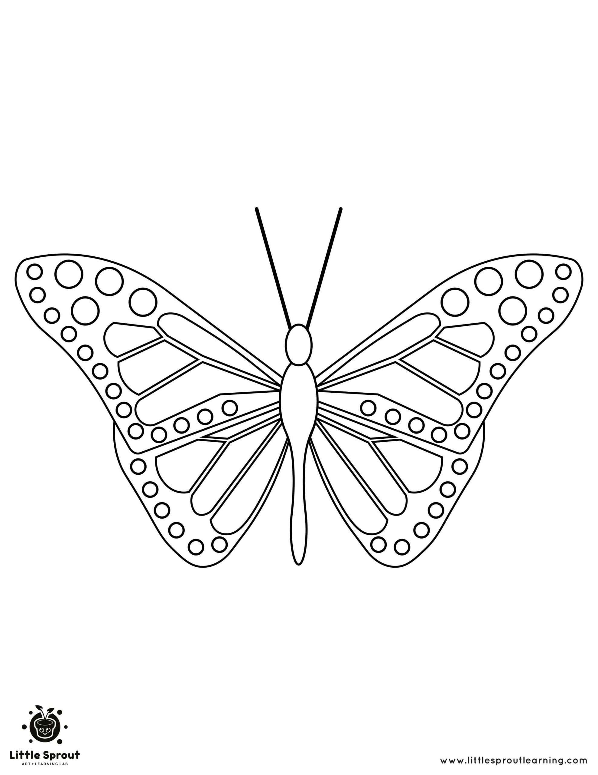 Spotted Butterfly Coloring Page