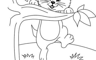 Hang in there Kitty Cat Coloring Page