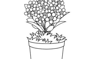 Daisy flower Coloring Page