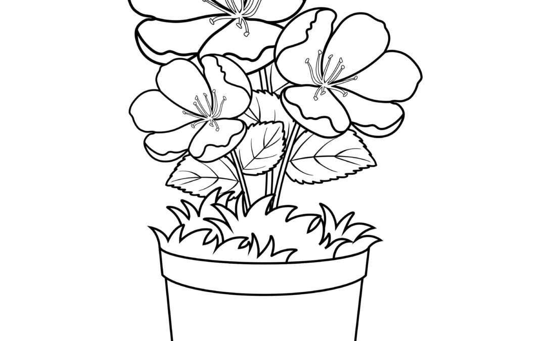 Gorgeous Flower Coloring Page