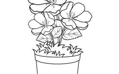 Gorgeous Flower Coloring Page