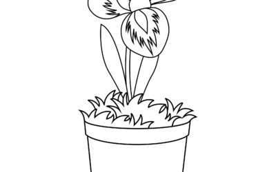 Growing Flower Coloring Page