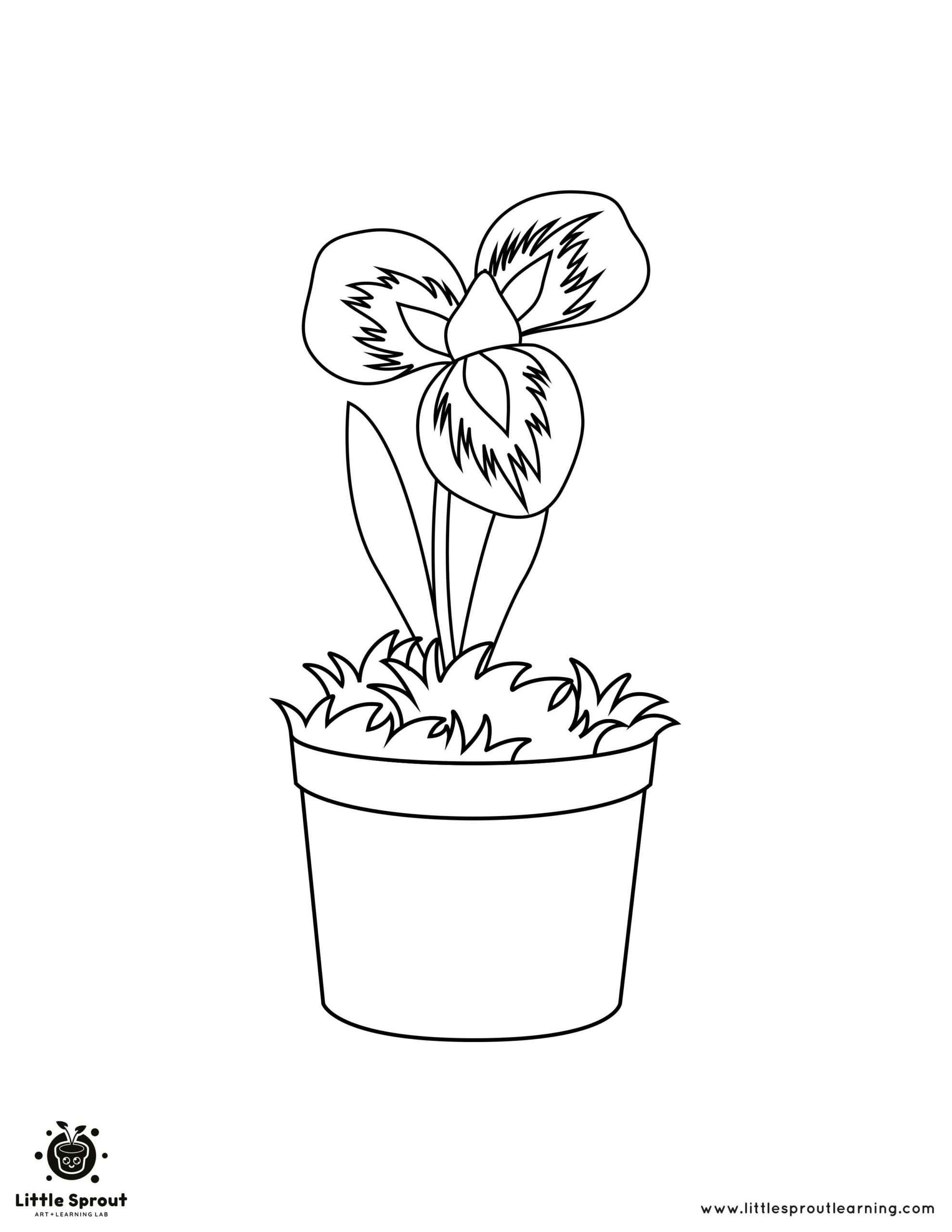 Growing Flower Coloring Page