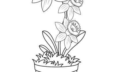 Stunning Flower Coloring Page