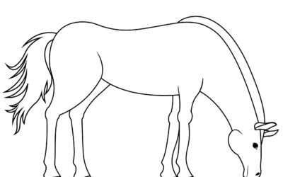 Snacktime Horse Coloring Page