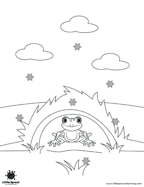 Best Hibernating Animal Coloring Pages - Little Sprout Art
