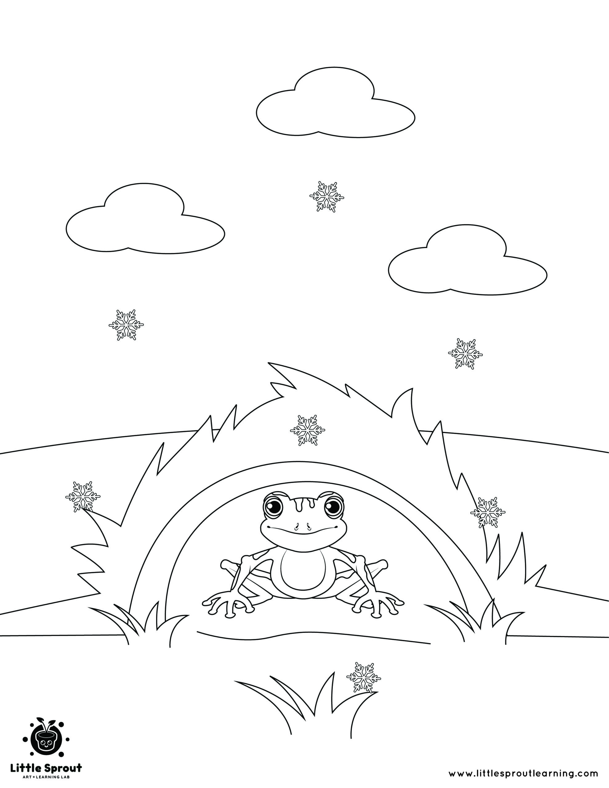 Wood Frog Coloring Page