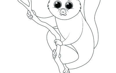 Fat Tailed Lemur Hanging on a Branch – Hibernating Animals Coloring Page