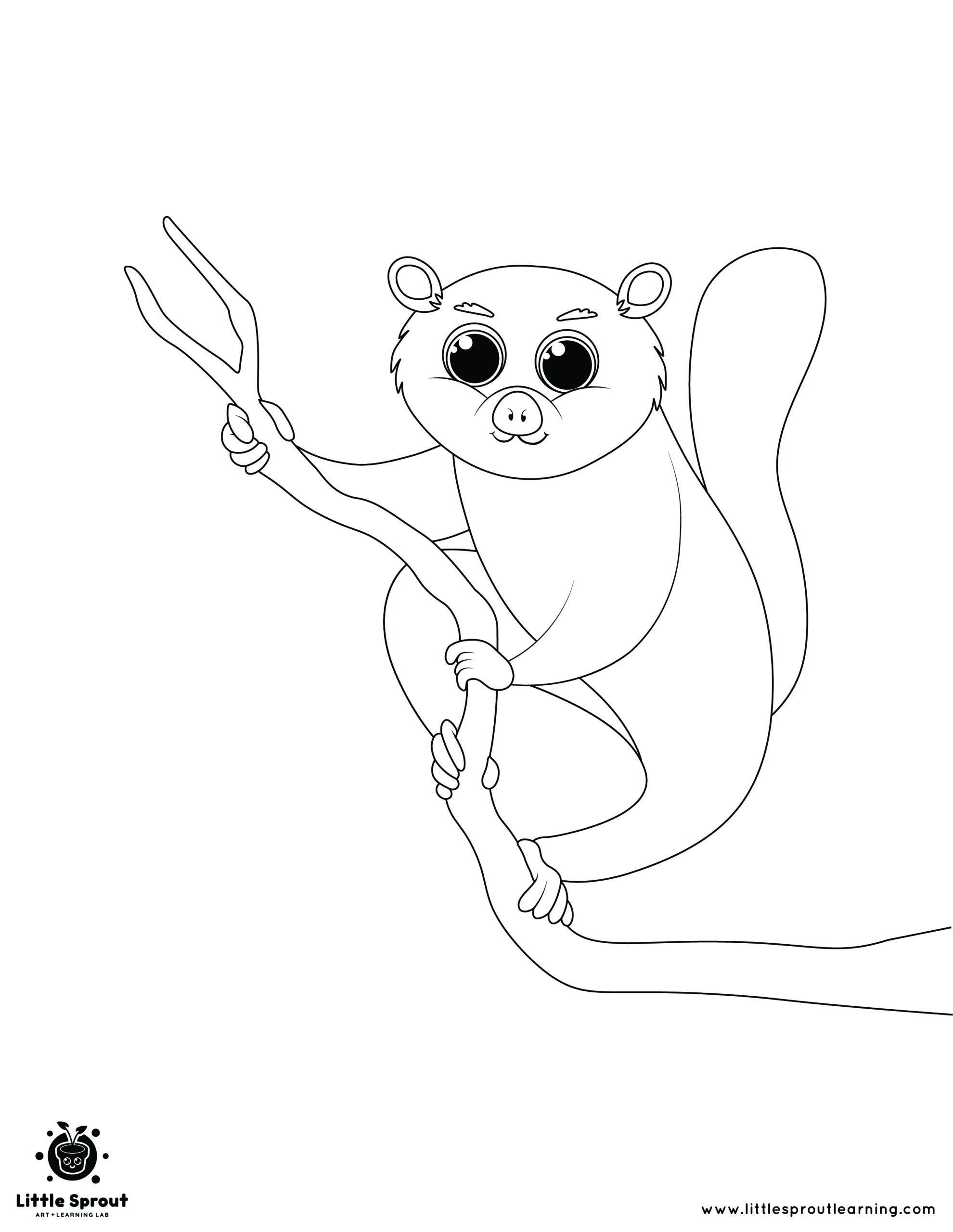 Fat Tailed Lemur Hanging on a Branch – Hibernating Animals Coloring Page