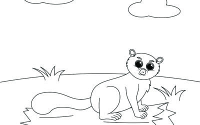 Fat Tailed Lemur On a Log- Hibernating Animals Coloring Page