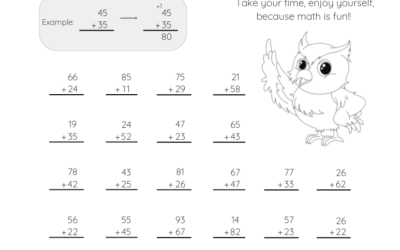 Addition Worksheet – Adding With 2 Digits – With Regrouping