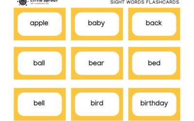 Noun Sight Words Flashcards