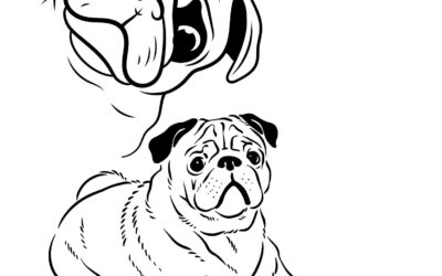 Portrait of a Pug Coloring Page