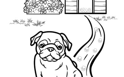 Realistic Pug Coloring Page