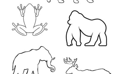 Animal Shapes Coloring Page 2