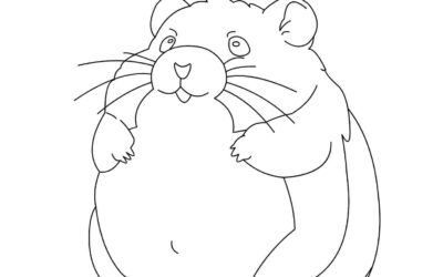 Chonky Hamster Coloring Page