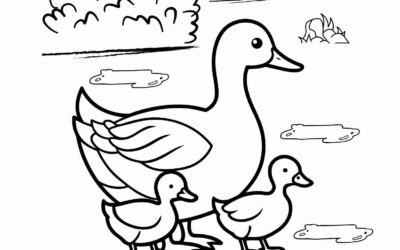 Puddle Duck and Ducklings Coloring Page