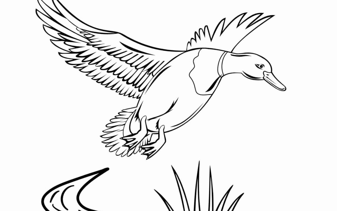 Realistic-style duck illustration with feathers and lifelike stance