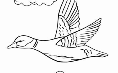 Realistic Duck Coloring Page