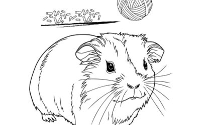 Realistic Hamster Coloring Page