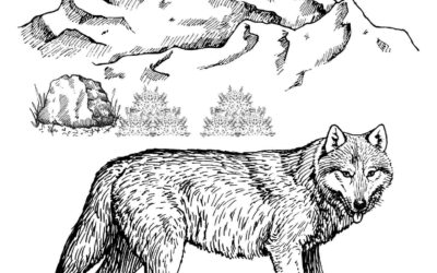 Realistic Wolf Coloring Page