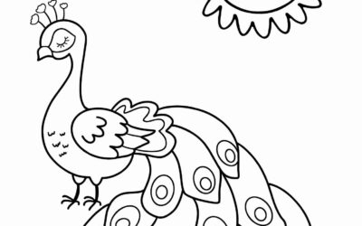 Peacock Coloring Page for Preschoolers