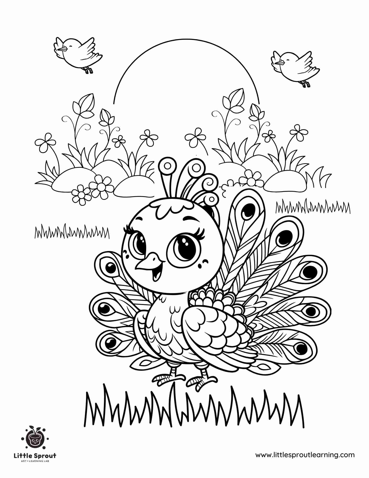 Peacock Coloring Sheet Free