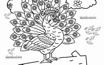 Peacock Picture Coloring Page