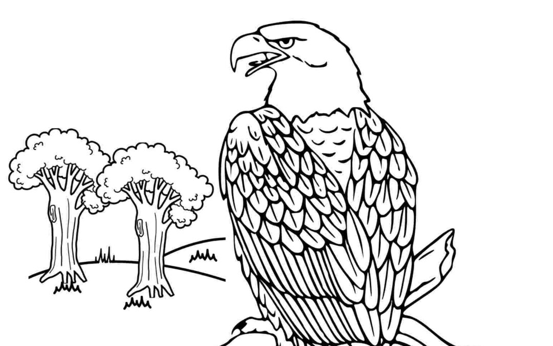 Bald Eagle Coloring Page for Adults