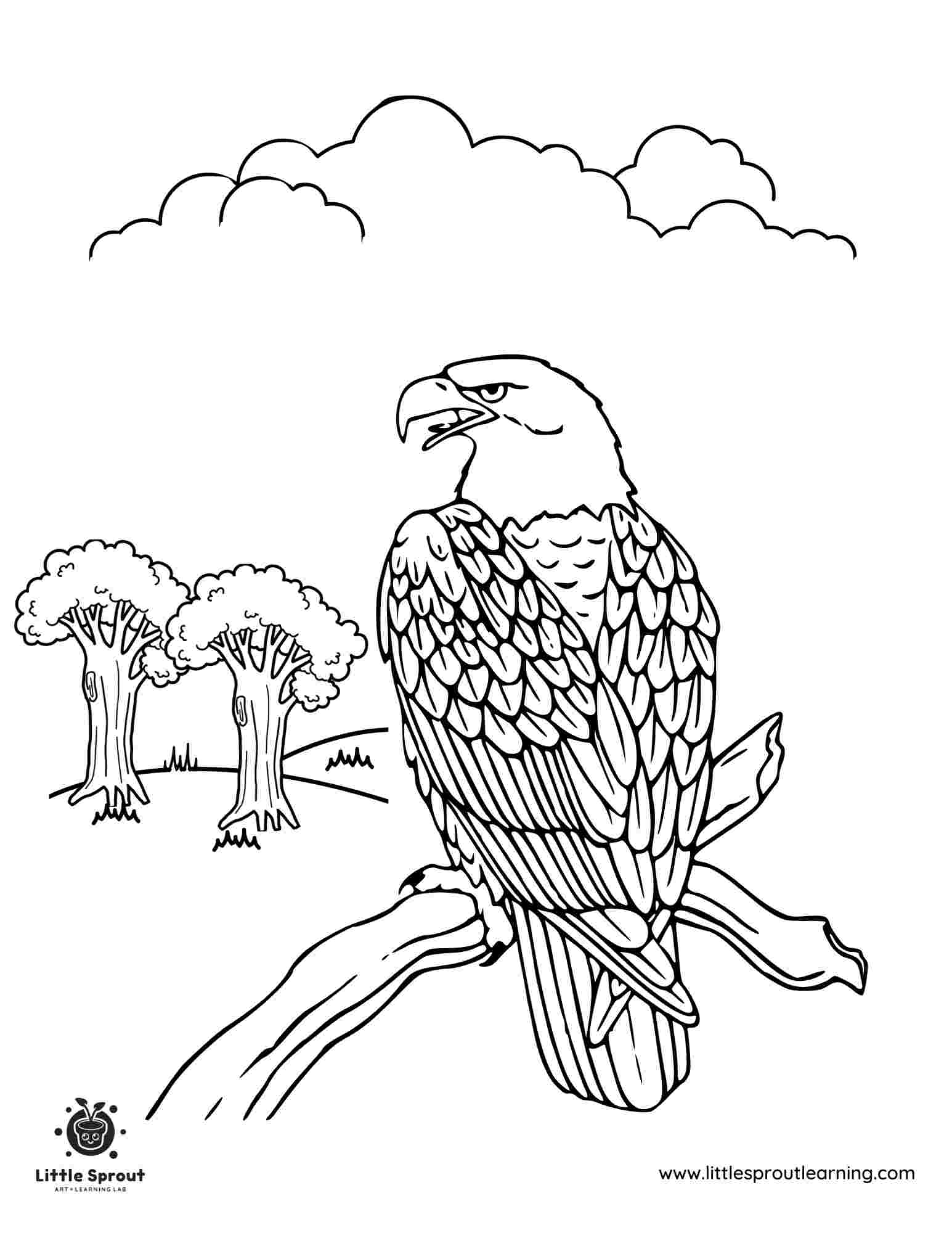Bald Eagle Coloring Page 2