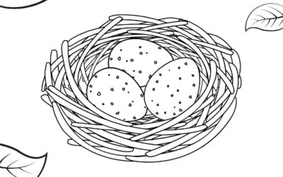 Birds Nest Coloring Page