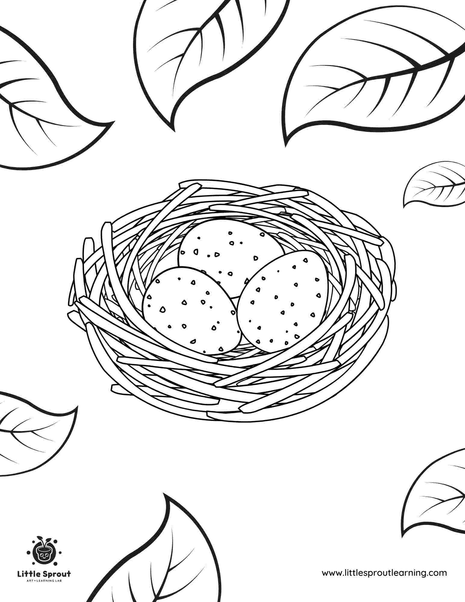 Birds Nest Coloring Page