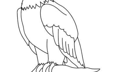 Eagle Coloring Page