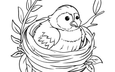 Nesting Bird Coloring Page
