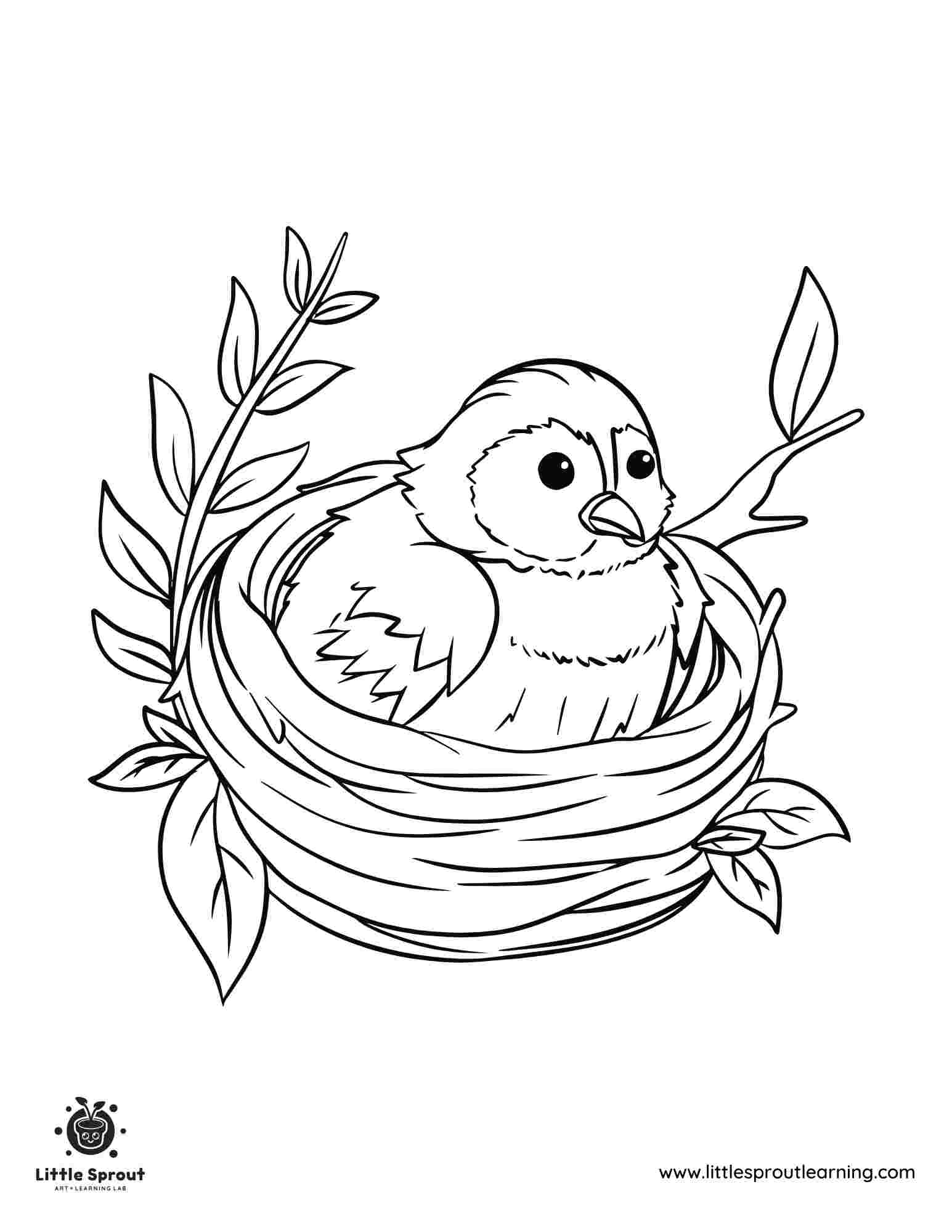 Nesting Bird Coloring Page