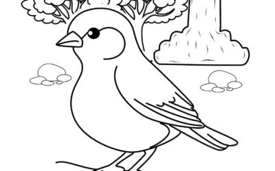 Waterfall Bird Coloring Page